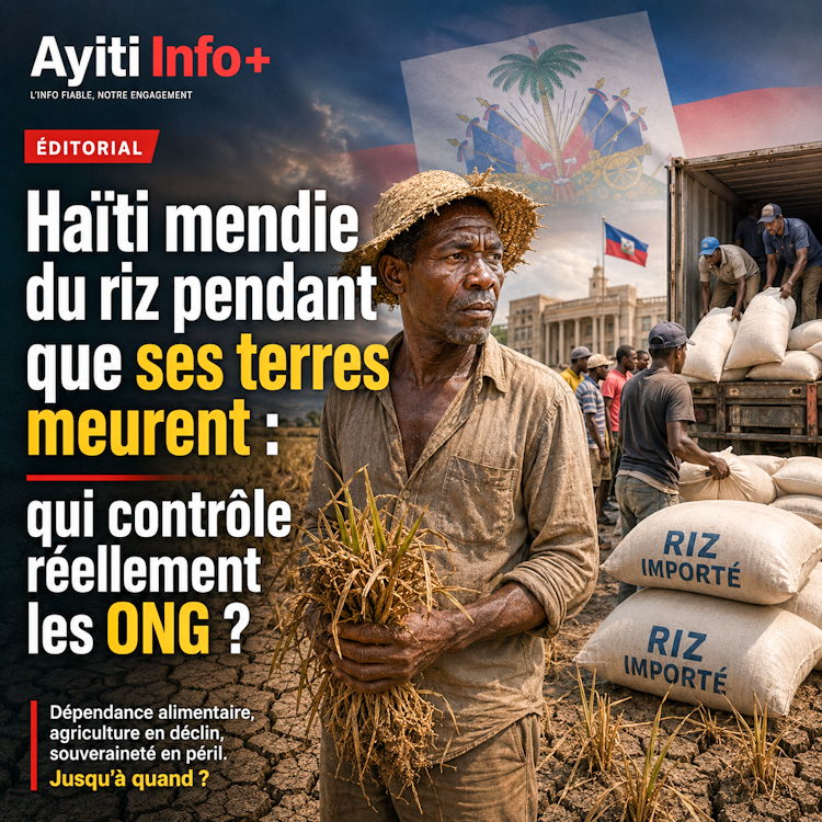 Haïti mendie du riz pendant que ses terres meurent : qui contrôle réellement les ONG ?